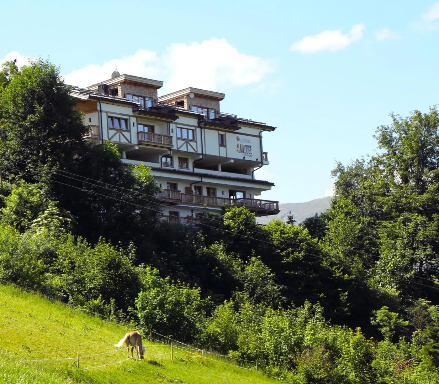 Apartment lodge with broad balconies on a green hillside at Almlodge Westendorf in Westendorf, Austria.
