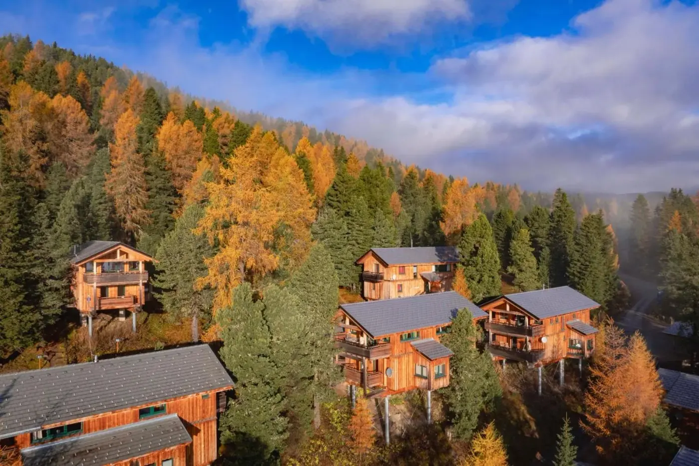 Timber chalets surrounded by forest in autumn colours at Alpenpark Turrach in Turracher Höhe, Austria.