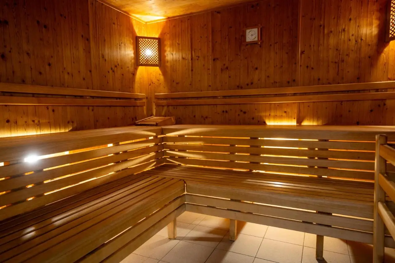 Alpenparks Rehrenberg, Viehhofen, near Saalbach: sauna