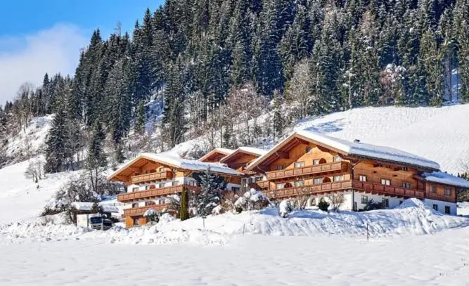 Apartments Alpin Apart, Flachau: photo
