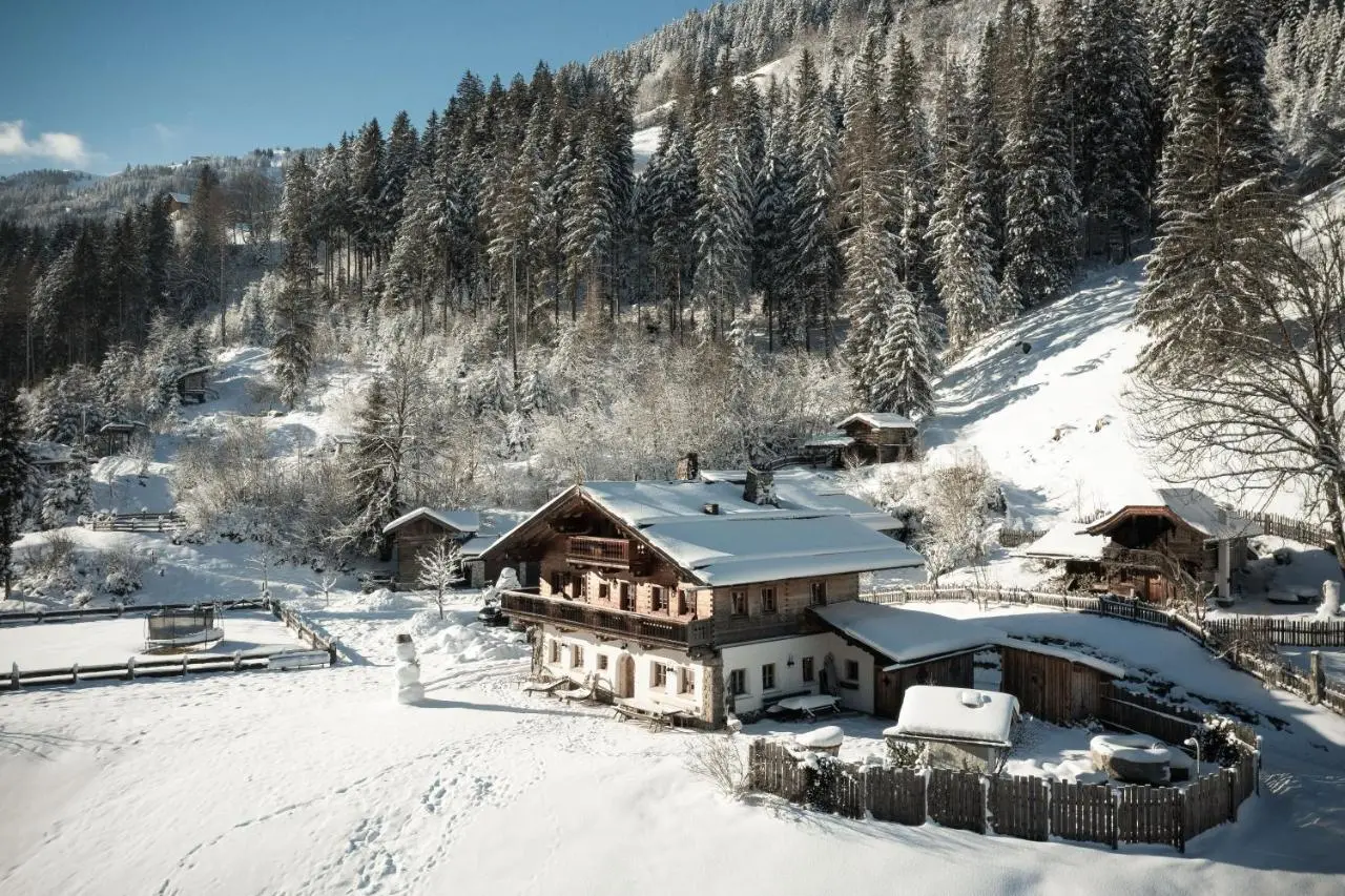 Chalet Kleinbretteneben, Großarl: exterior