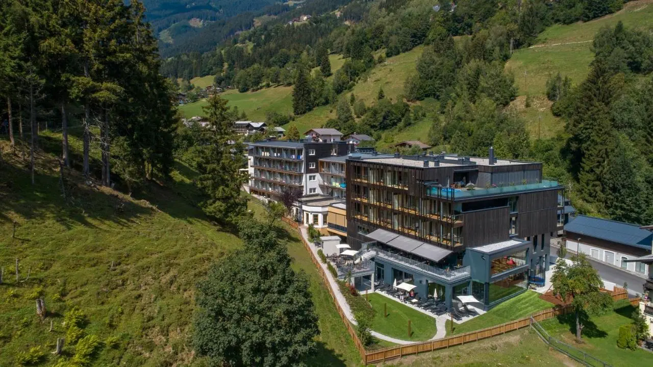 Hotel Der Waldhof, Zell am See: view